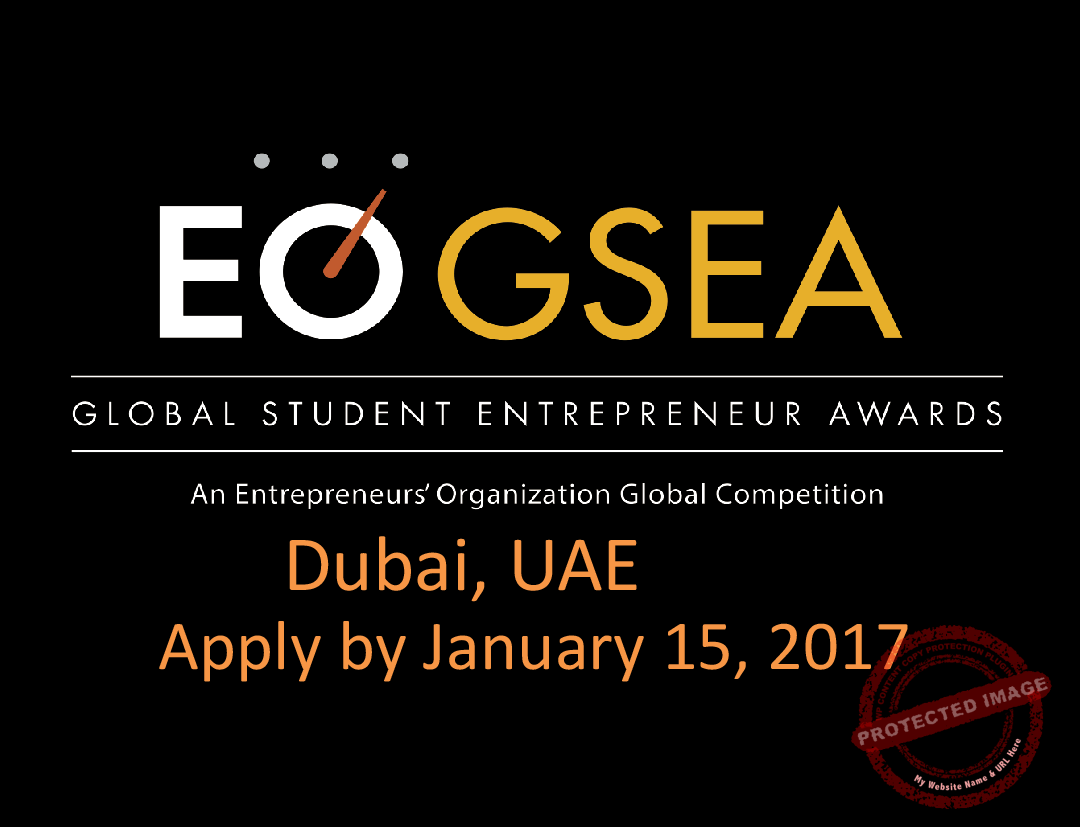 gsea_theyoungvision-2016-17