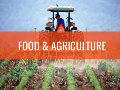 food-and-agriculture