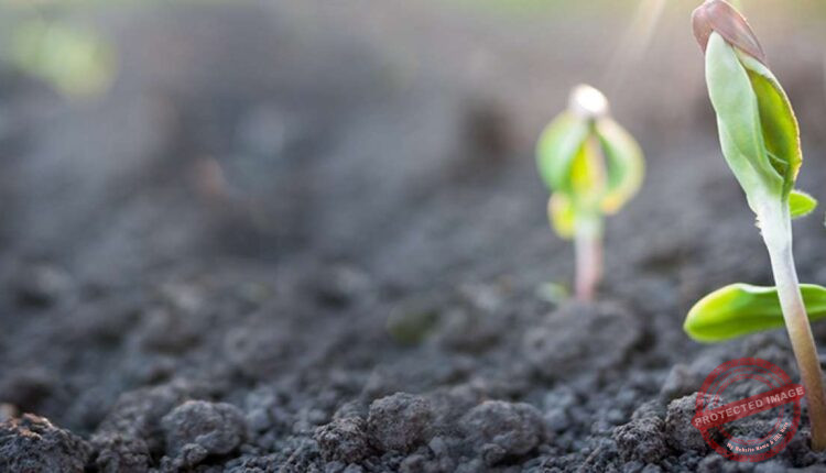 Agricultural Studies