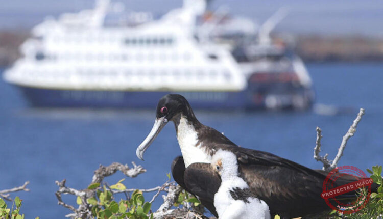 Travel, Tourism and Leisure