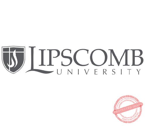The-Young-Vision-Lipscomb-University
