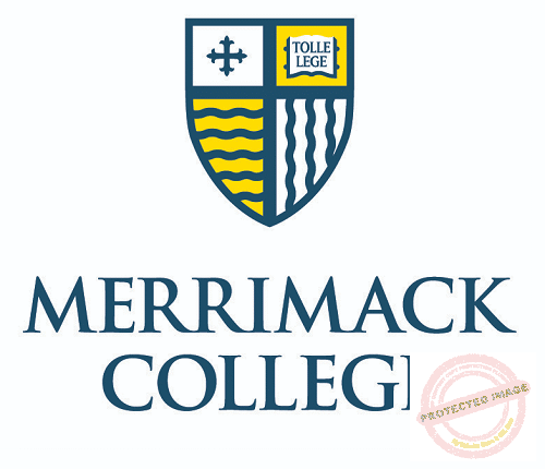 The-Young-Vision-Merrimack-College