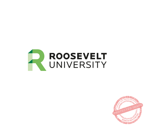 The-Young-Vision-Roosevelt-University