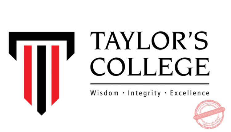 The-Young-Vision-Taylors-College-1024×1024