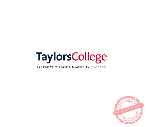 The-Young-Vision-Taylors-College-Auckland