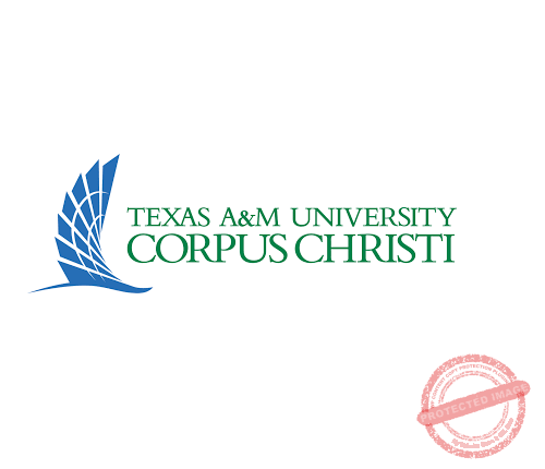 The-Young-Vision-Texas-AM-University-Corpus-Christi