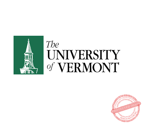 The-Young-Vision-The-University-Of-Vermont