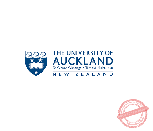 The-Young-Vision-The-University-of-Auckland