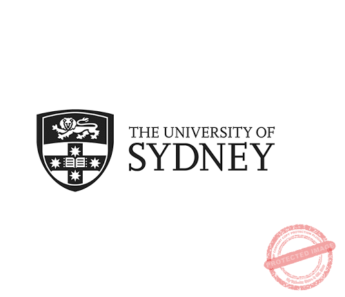 The-Young-Vision-The-University-of-Sydney