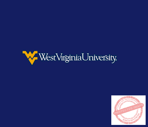 The-Young-Vision-West-Virginia-University