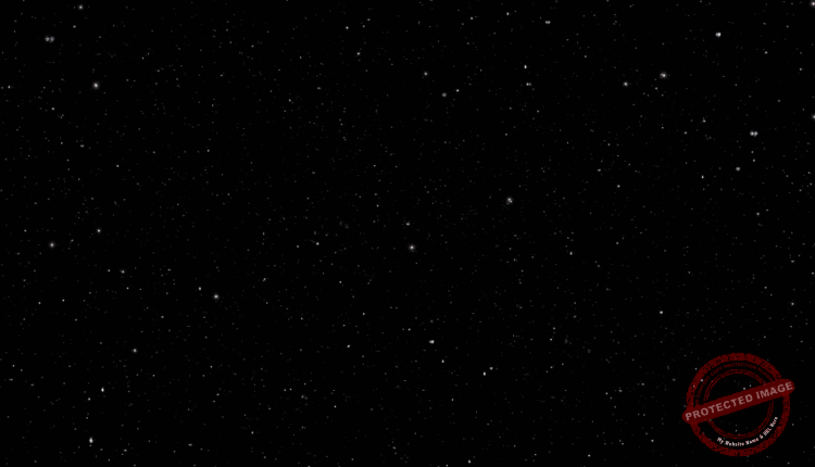 Horoscope (10)