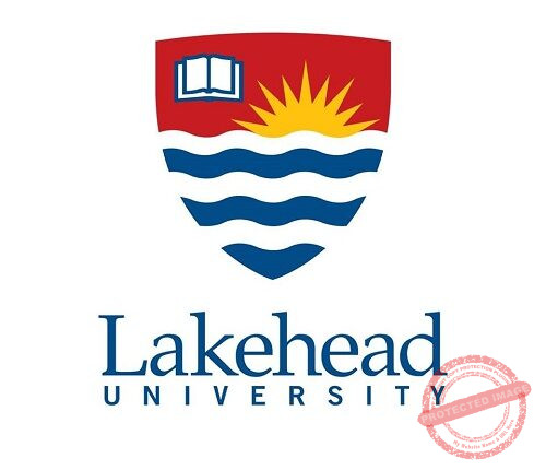Lakehead University