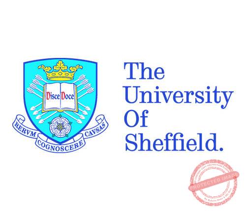 The Young Vision – The University Of Sheffield