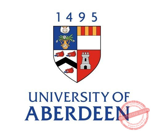 The Young Vision – University of Aberdeen