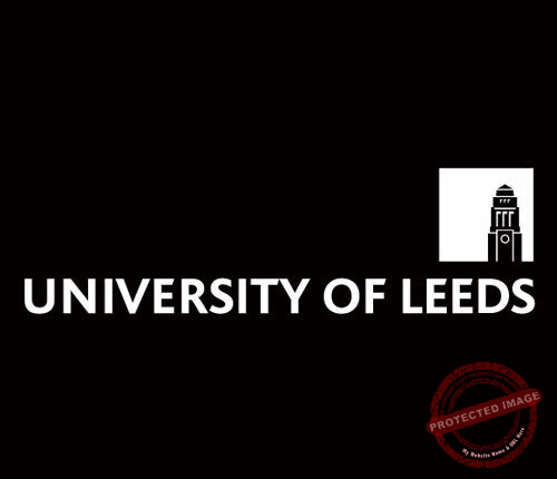 The Young Vision – University of Leeds