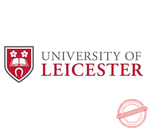 The Young Vision – University of Leicester