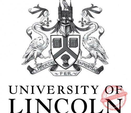 The Young Vision – University of Lincoln