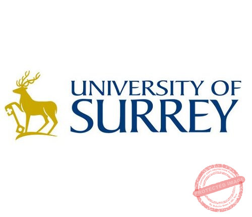 The Young Vision – University of Surrey