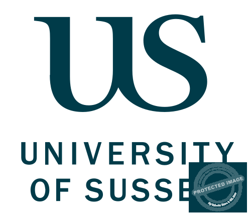 The Young Vision – University of Sussex