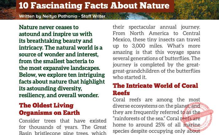 MAGAZINE – NOV-DEC 202340