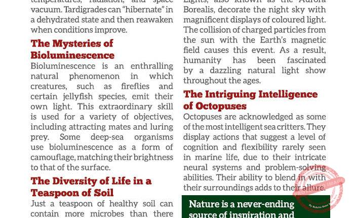 MAGAZINE – NOV-DEC 202341