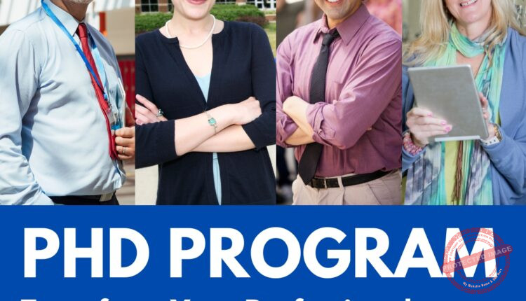 The Young Vision phd program