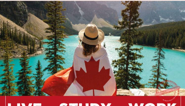 FINAL MAGAZINE – NOV-DEC 202437